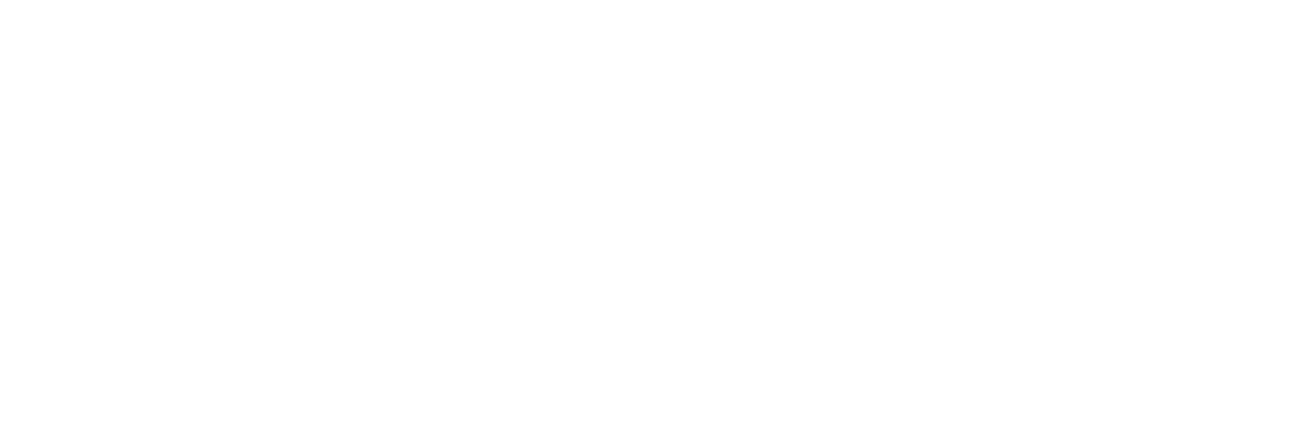 AFX Logo Weiss